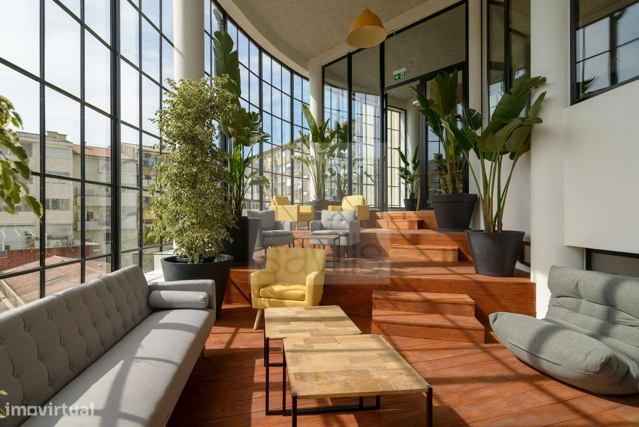 Latino Coelho 85 - Grande imagem: 4/14