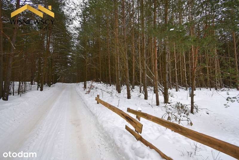 Działka budowlana 3002m2, uzbrojona z lasem-4