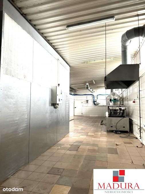 Hala magazynowo - biurowa 350m2 - Pełny obrazek: 5/10