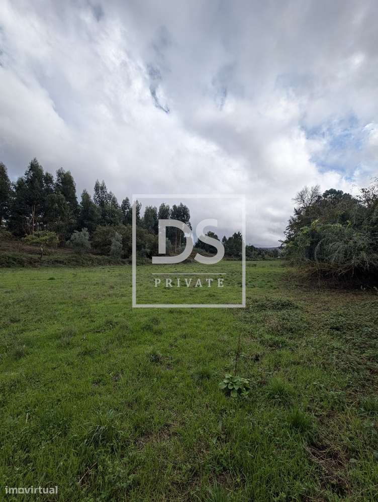 Fabulosa Quinta em Moimenta da Serra – Gouveia - Grande imagem: 5/19