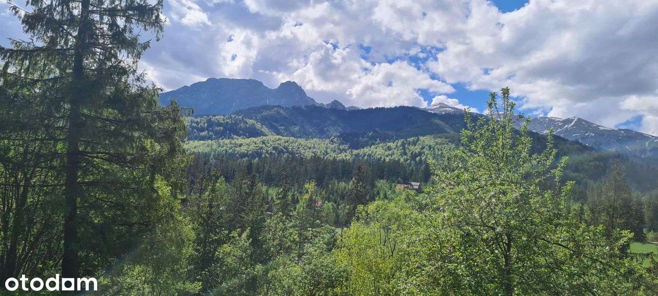 Widokowa Działka budowlana w Kościelisku - Pełny obrazek: 5/6