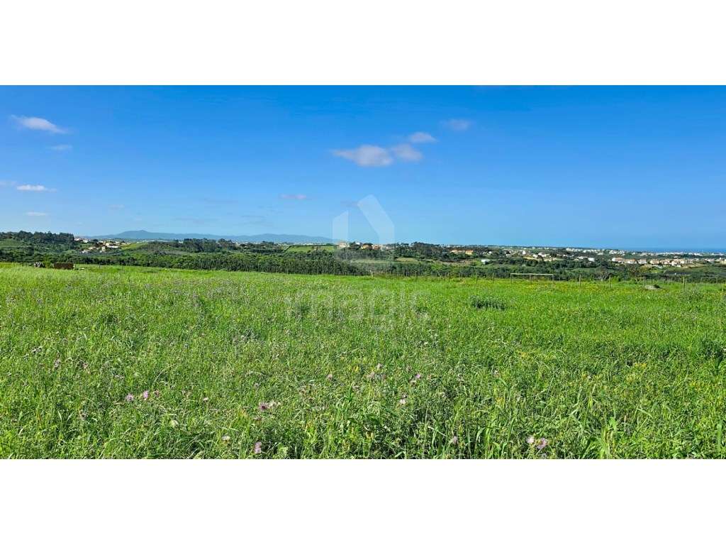 Terreno rústico inserido em zona urbana-3