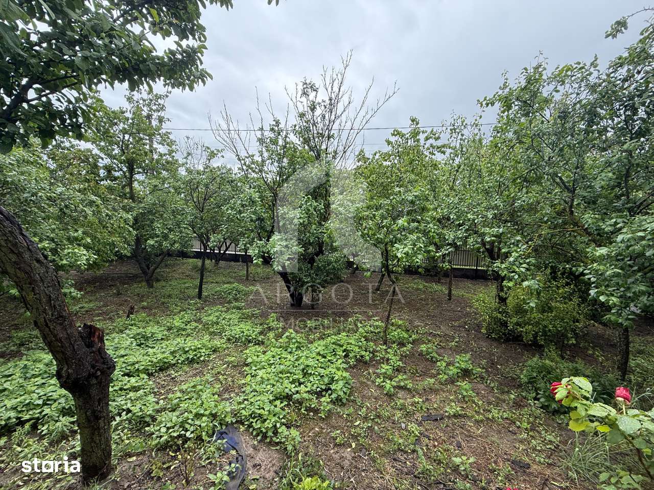 Casă  + teren 4.075mp | Comision 0%-5