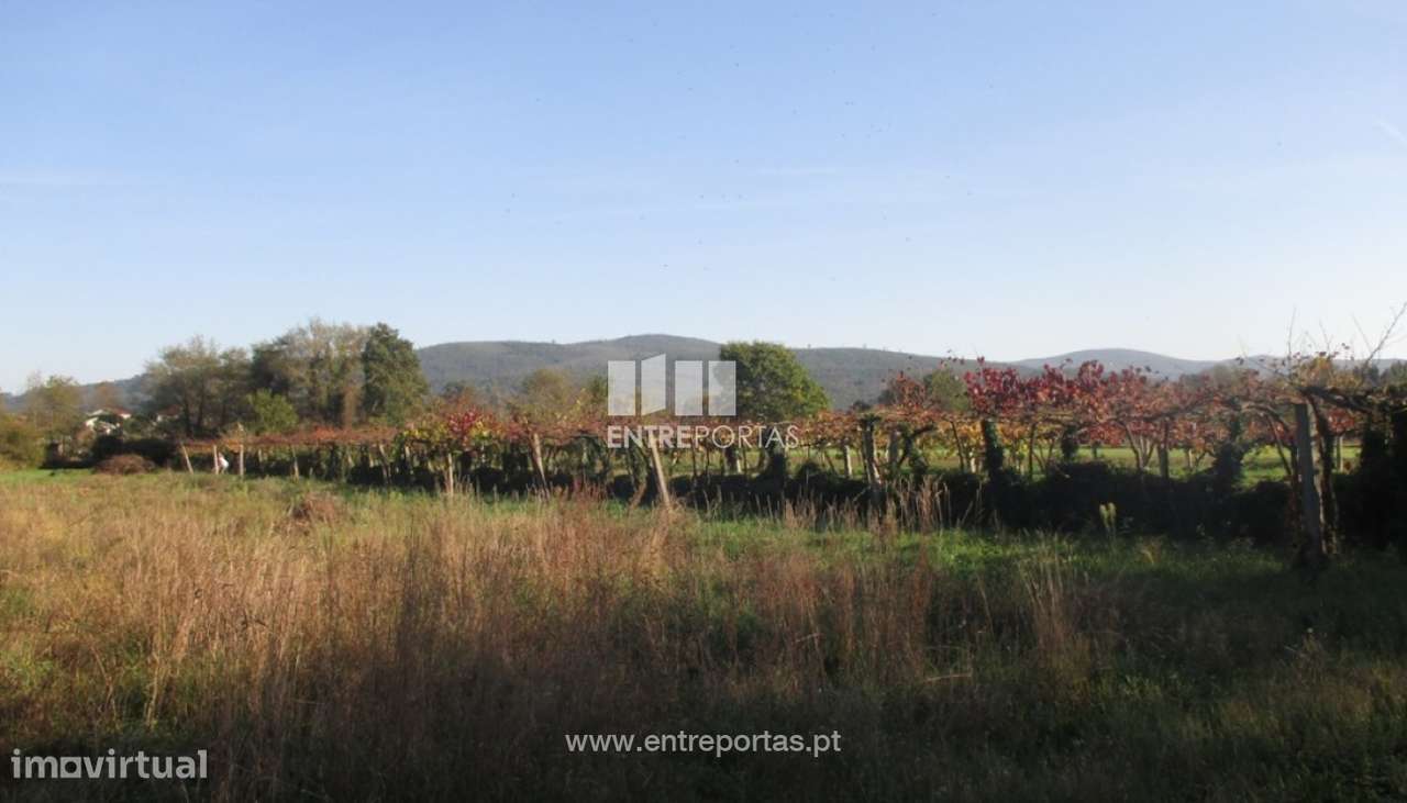 Venda de terreno agrícola, Barroselas, Viana do Castelo - Grande imagem: 3/4