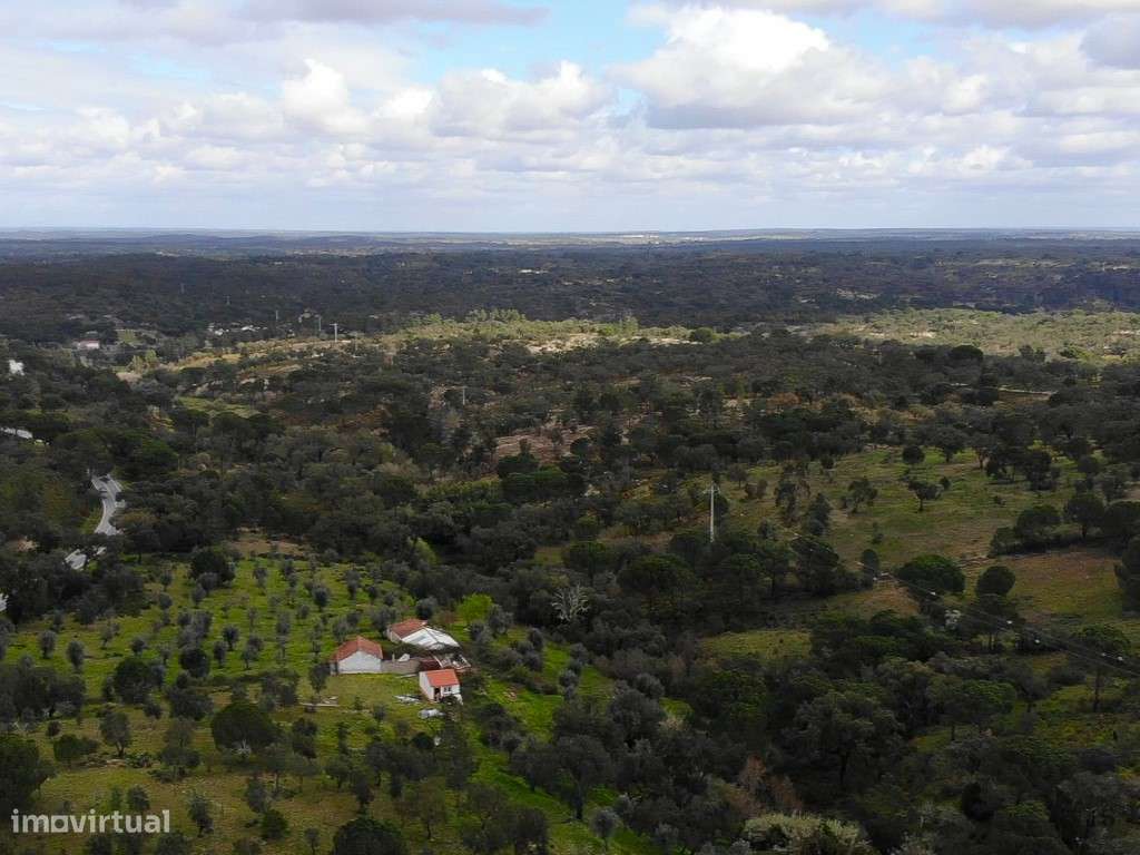 QUINTA COM 5HA DE TERRENO COM 500M2 URBANO - GALVEIAS - PONTE DE SOR-22