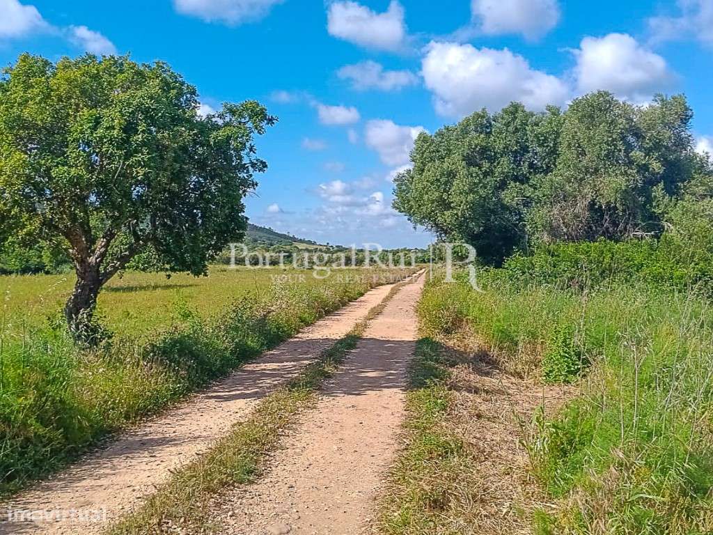Terreno Rústico com 1.250 m², a 5 minutos das Praias - Algarve Cost... - Grande imagem: 5/5