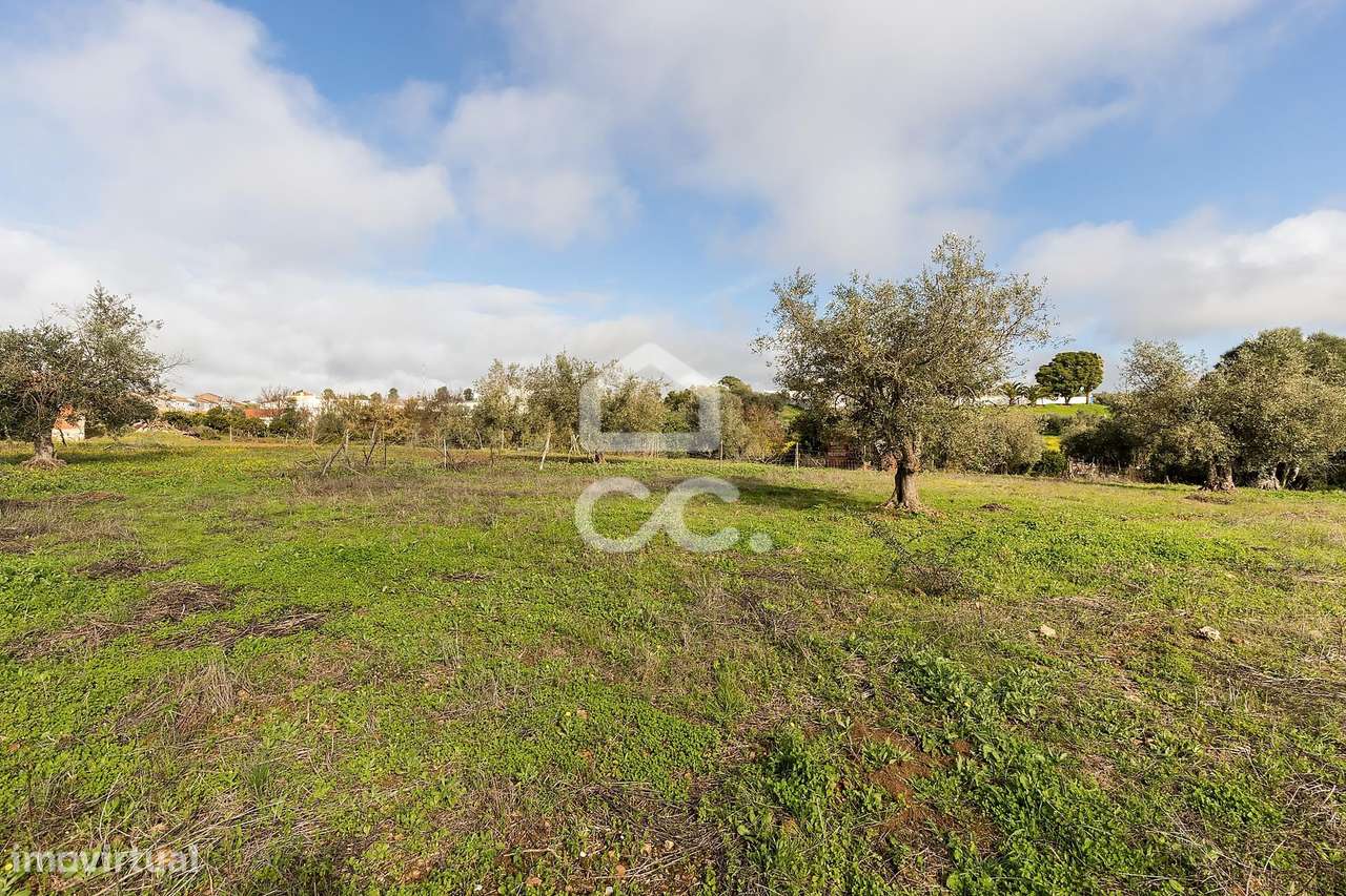 Quinta T5 de 0,9 ha com Moradias e Anexos | Torrão, Alcácer do Sal-50