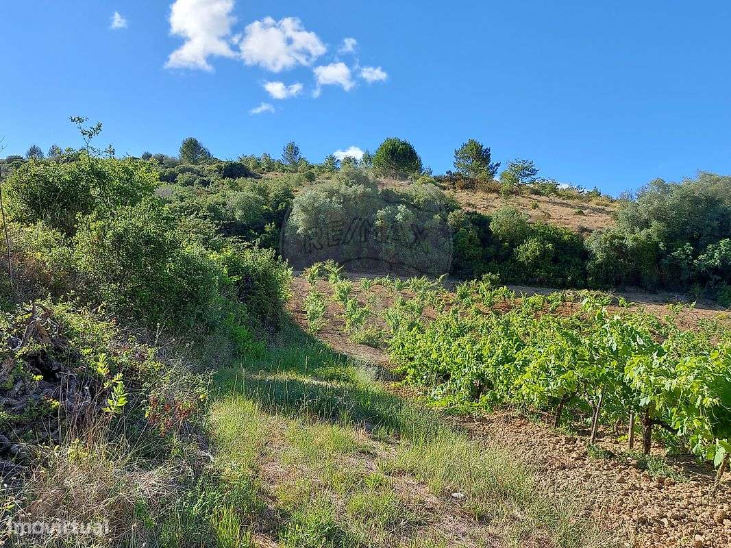 Terreno  para venda-3