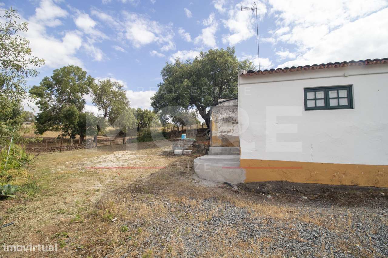 Herdade - Alvito - Grande imagem: 5/60