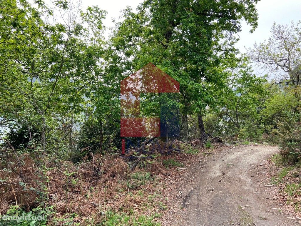 Terreno florestal em Penascais, Vila Verde