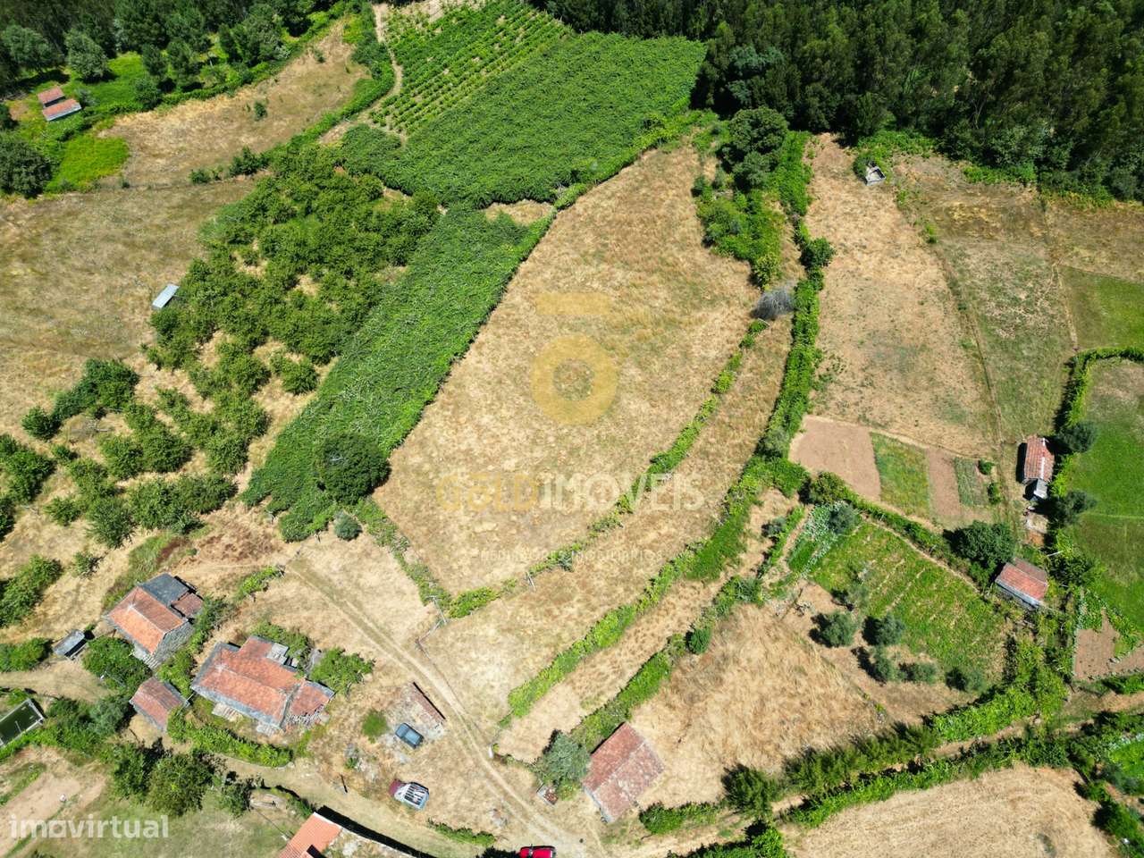 Quinta T4 Venda em Fornelos,Cinfães - Grande imagem: 4/16
