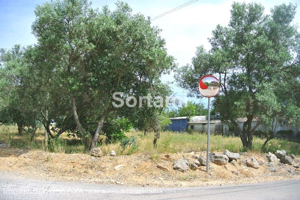Terreno Para Construção  Venda em Santa Bárbara de Nexe,Faro - Grande imagem: 5/6
