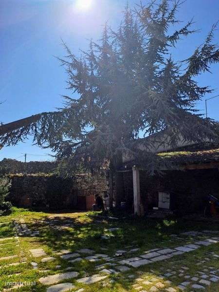 Moradia T2 rústica - Grande imagem: 3/11