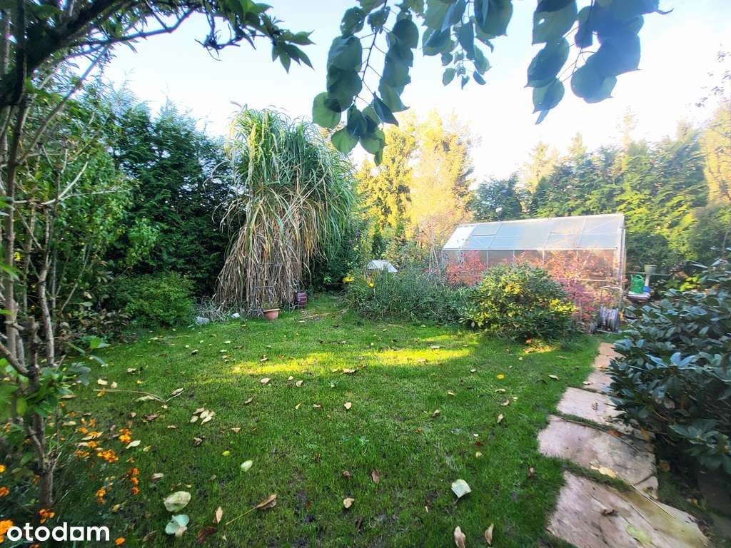 Bezrzecze / Dom wolnostojący-12