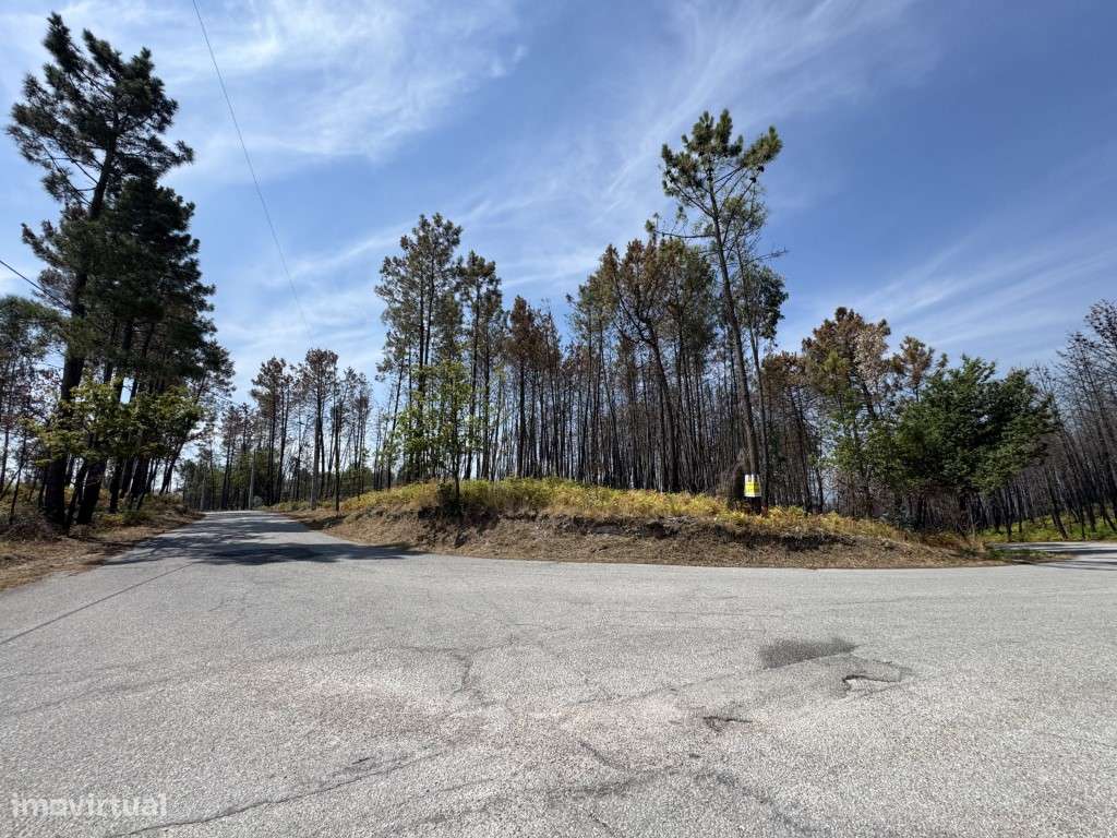 Terreno para venda em Mões - Castro Daire - Grande imagem: 2/10