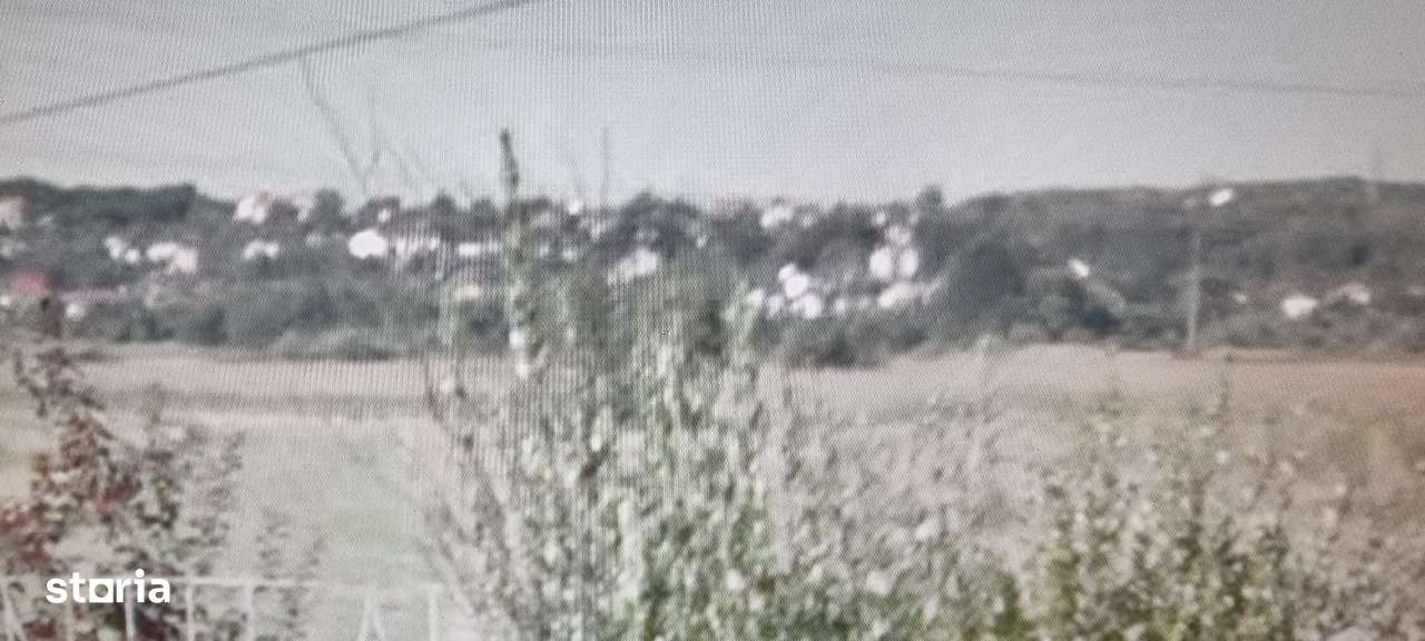 Vand teren in com. Bascov, vis a vis de hotel Star, extravilan 4778 mp - Imagine principală: 5/5