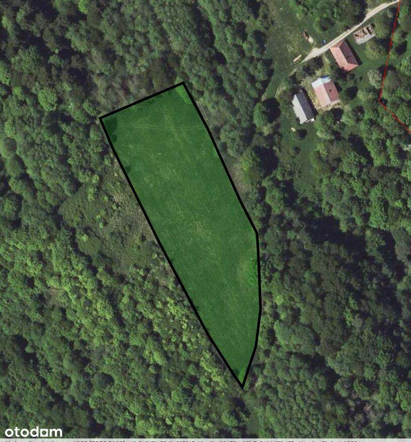 Wyjątkowa 65 ar działka widokowa w Odrzykoniu - Pełny obrazek: 5/5