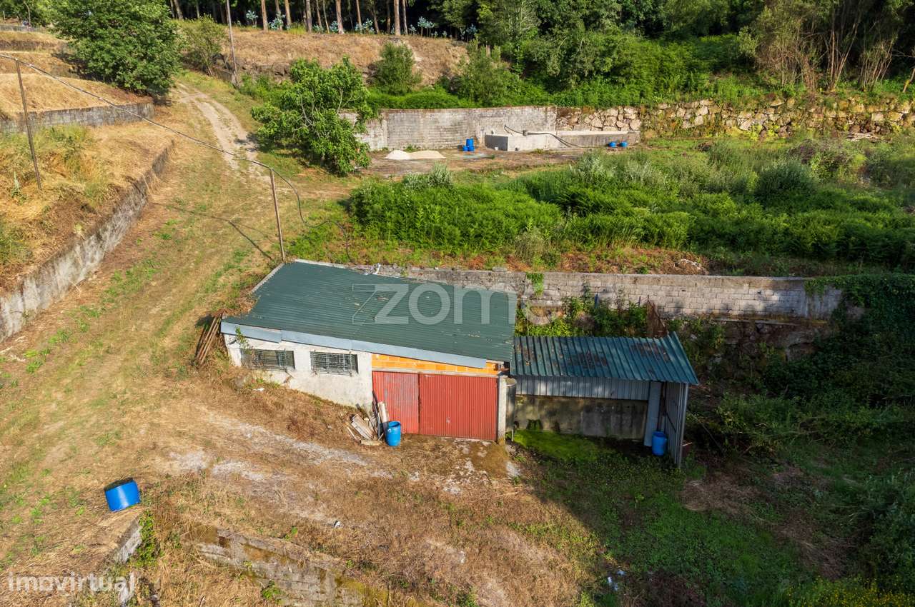 Terreno de 30.500m² c/ nascente, árvores e ruína para restauro, Viz... - Grande imagem: 4/18