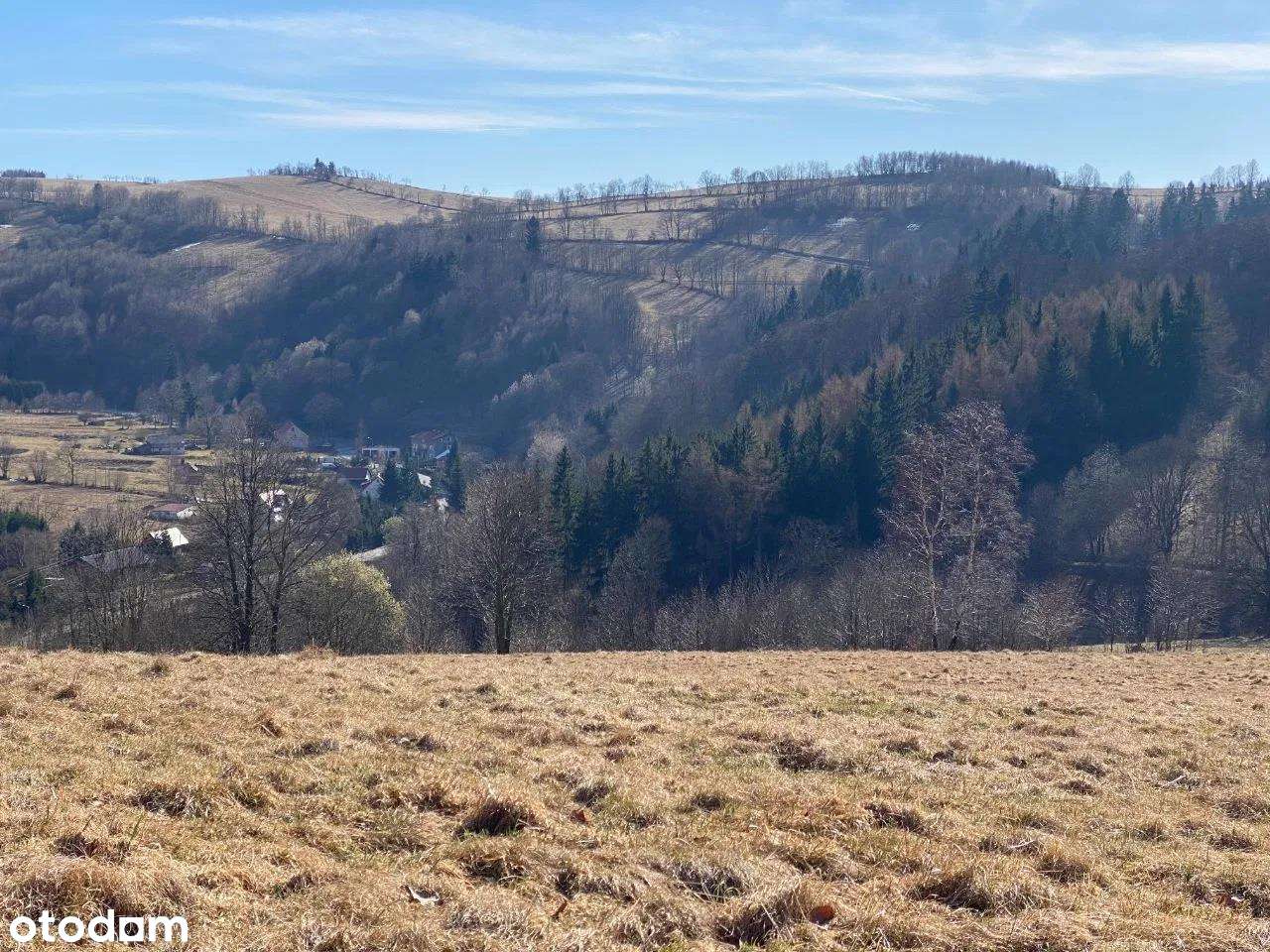 Urokliwa działka w Górach Sowich-12