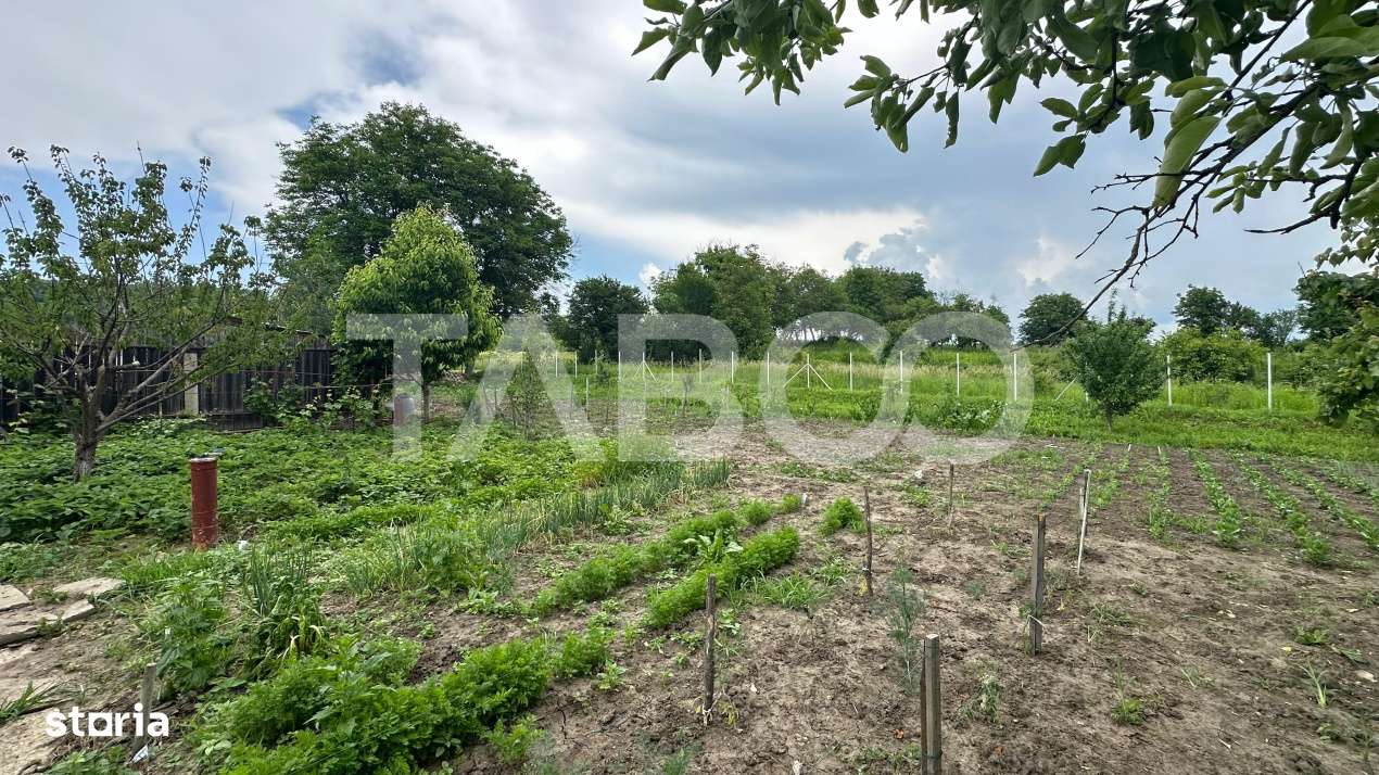Casa individuala Comision 0%  3 camere anexe teren 800 mp Rusi Sibiu - Imagine principală: 3/18