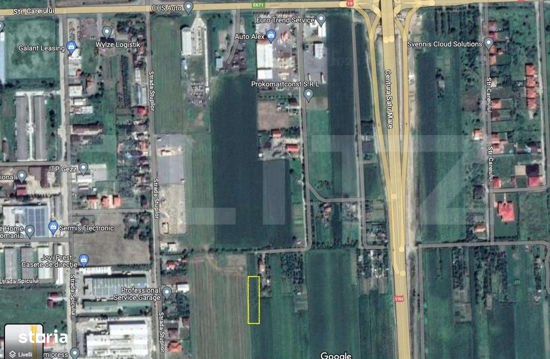 Oportunitate! Teren intravilan, 9433 mp zona strada Careiului - Imagine principală: 2/2
