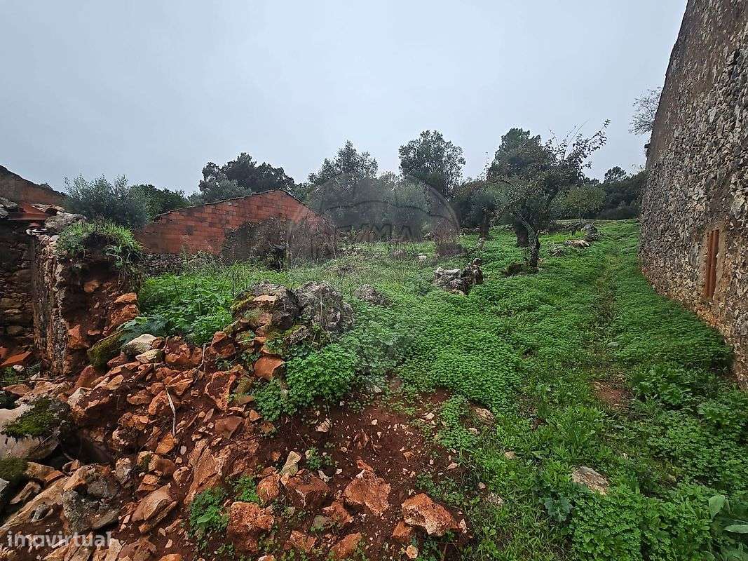 Terreno  para venda - Grande imagem: 5/6