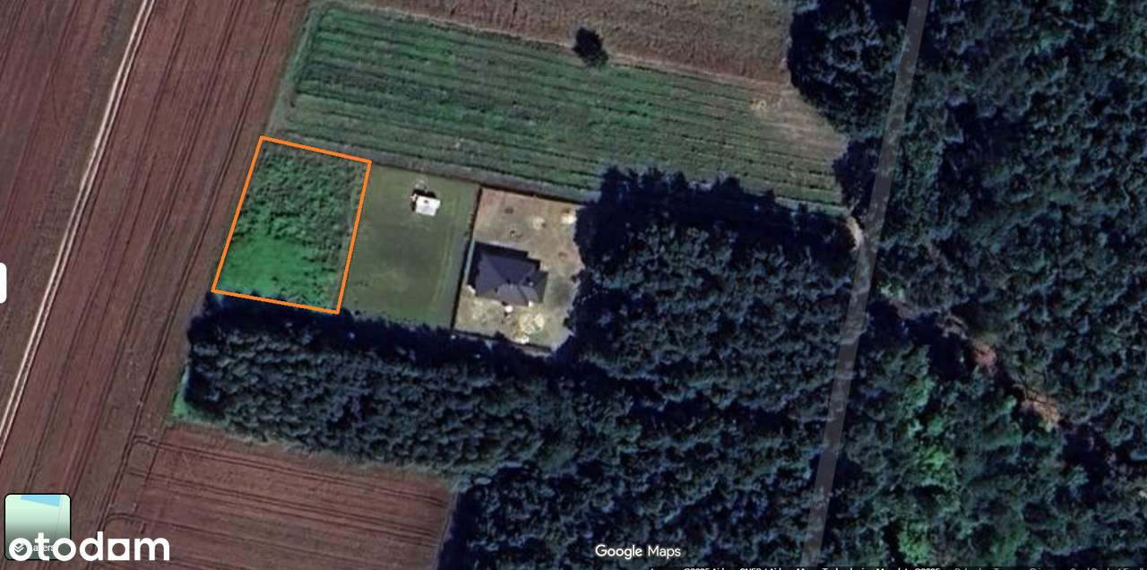 Malownicza działka pod lasem - Pełny obrazek: 1/10