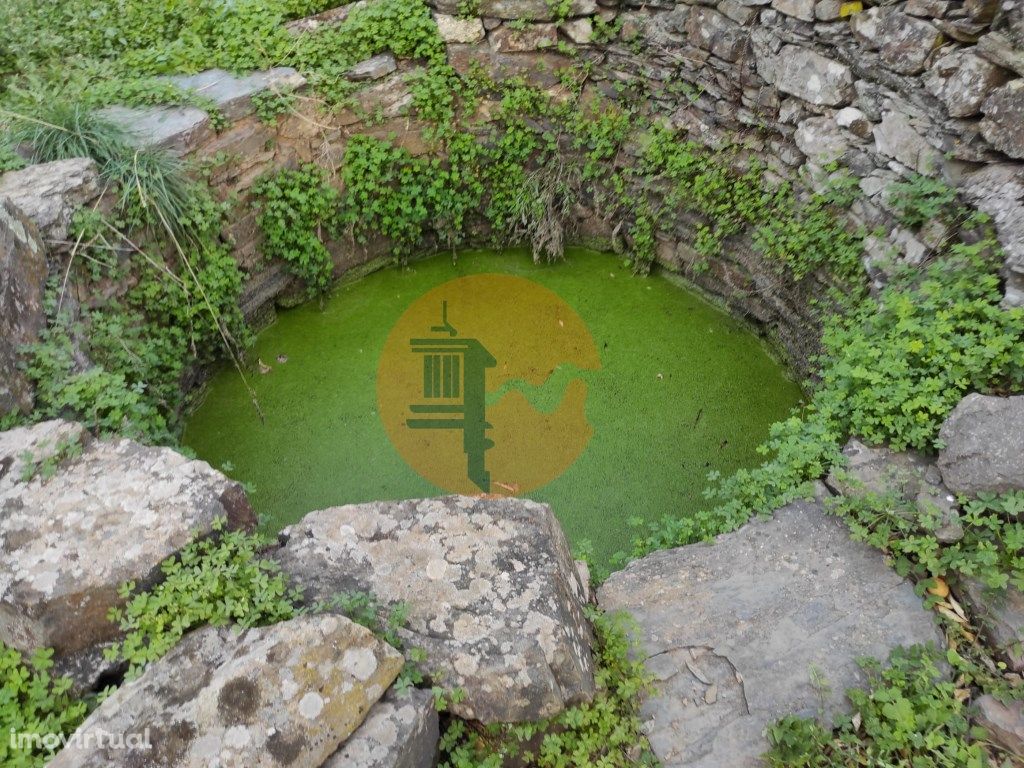 TERRENO COM 9.550 M2 - COM POÇO - NA CARRAPATEIRA EM TAVI...