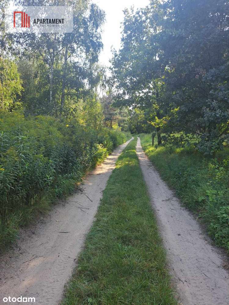 1222 m2 z widokiem na las! - Pełny obrazek: 4/20