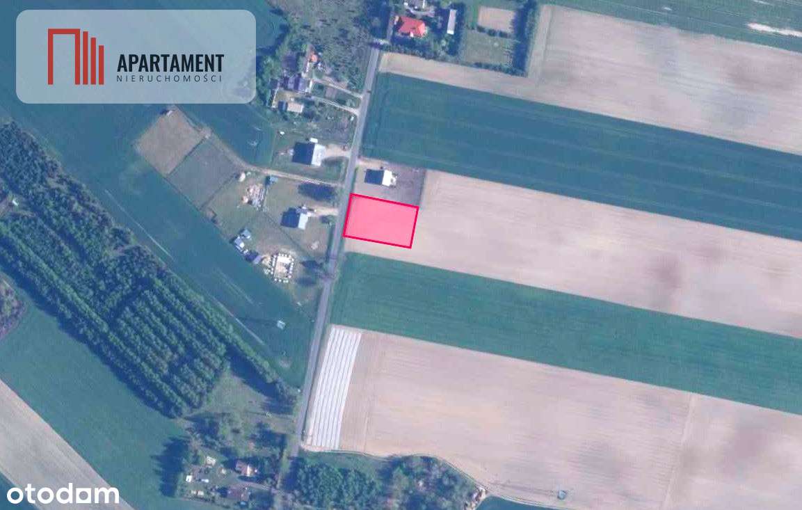 Tylko U Nas! Miejsce na Twój wymarzony dom! - Pełny obrazek: 4/4