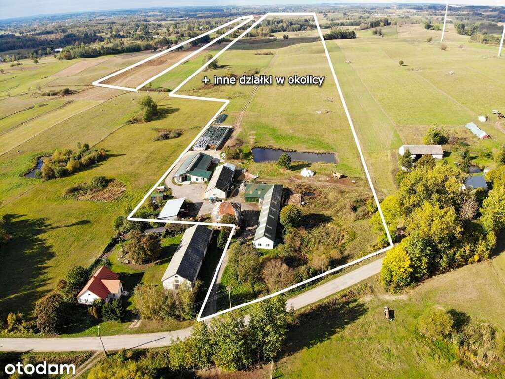 Duże gospodarstwo rolne, 24.4ha - Pełny obrazek: 4/19