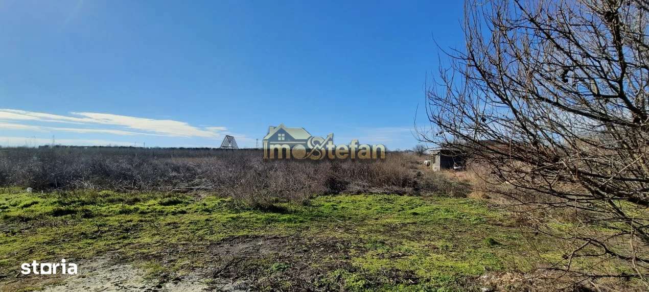 Teren Intravilan Vama Veche | 7.495 mp | Oportunitate Investiție-8