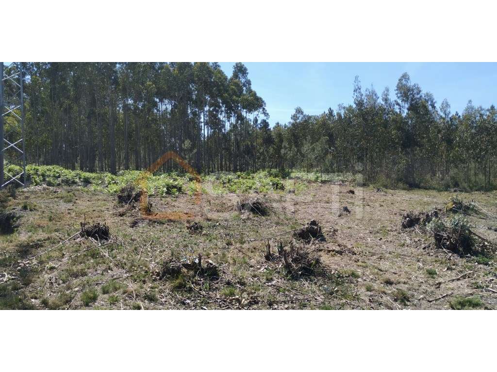 Terreno em zona industrial - Grande imagem: 3/8