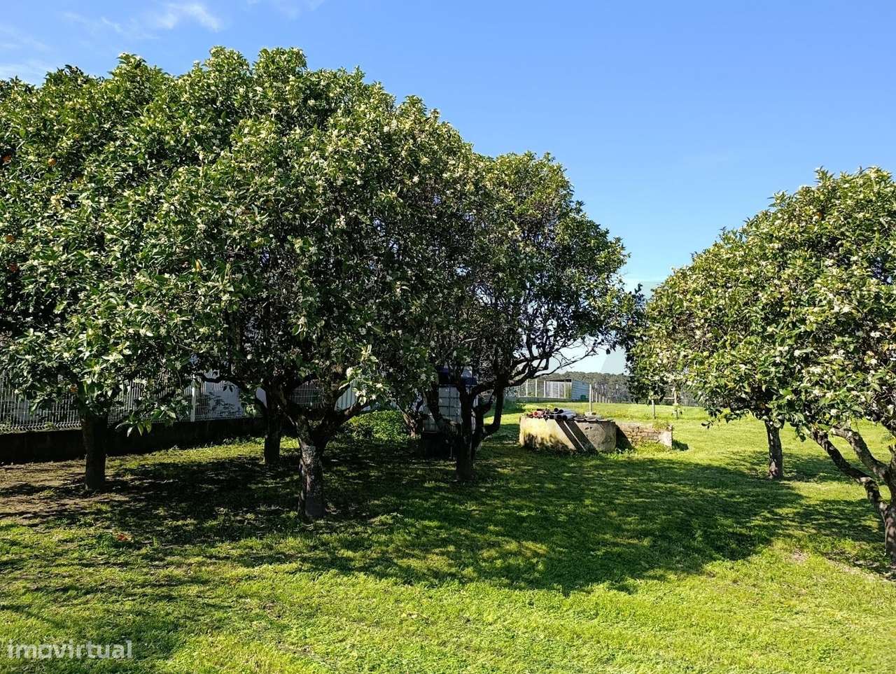 Terreno Urbano  de 4.000m2, Pontevel, Cartaxo-10