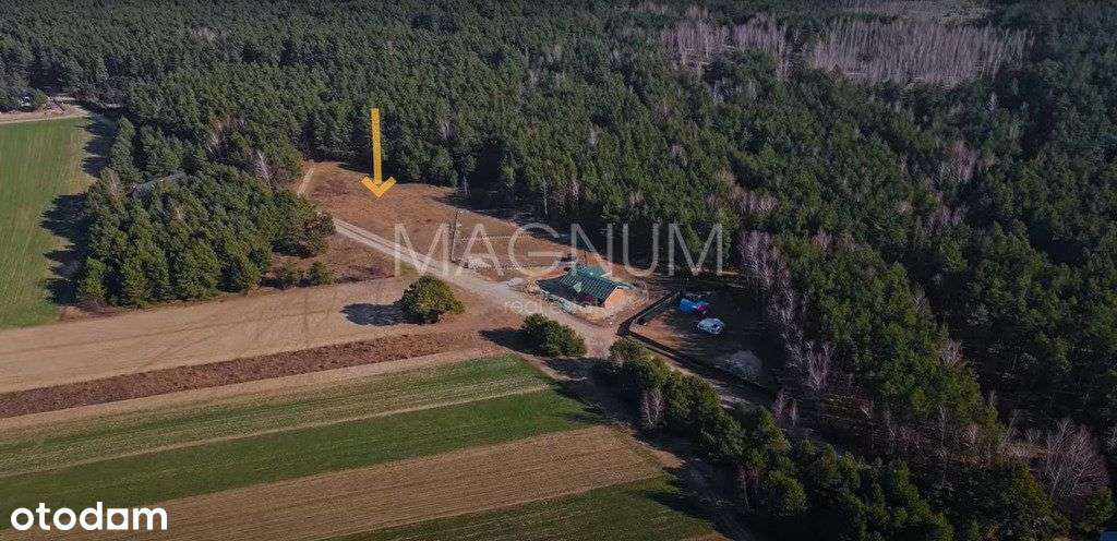 Piękna działka z lasem pod zabudowę jednorodzinną - Pełny obrazek: 4/9