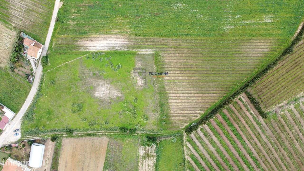 Terreno urbano de 15.000m2 em Freiria, Torres Vedras - Grande imagem: 4/4