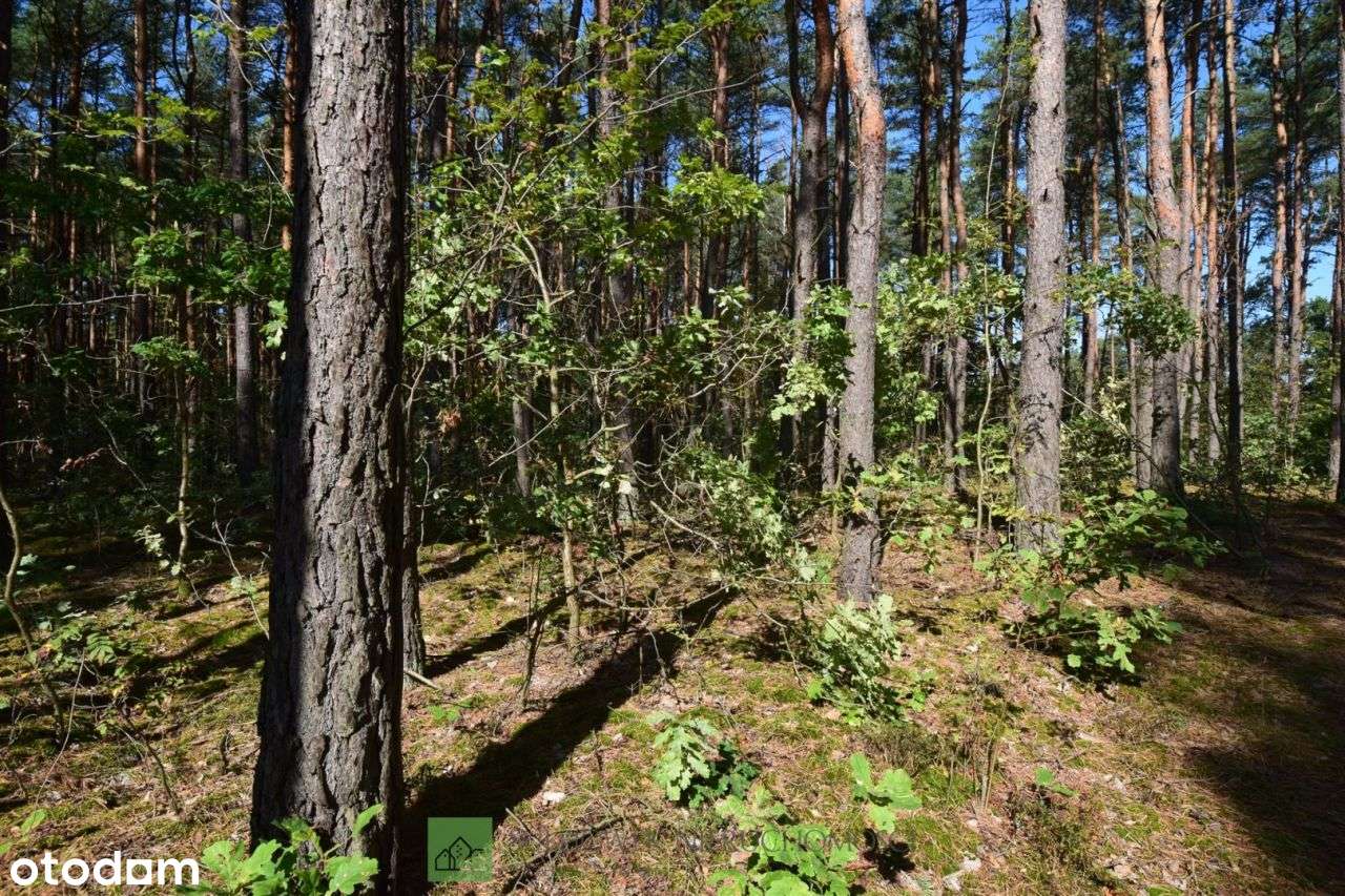 Działka, 1 535 m², Sulejówek-1