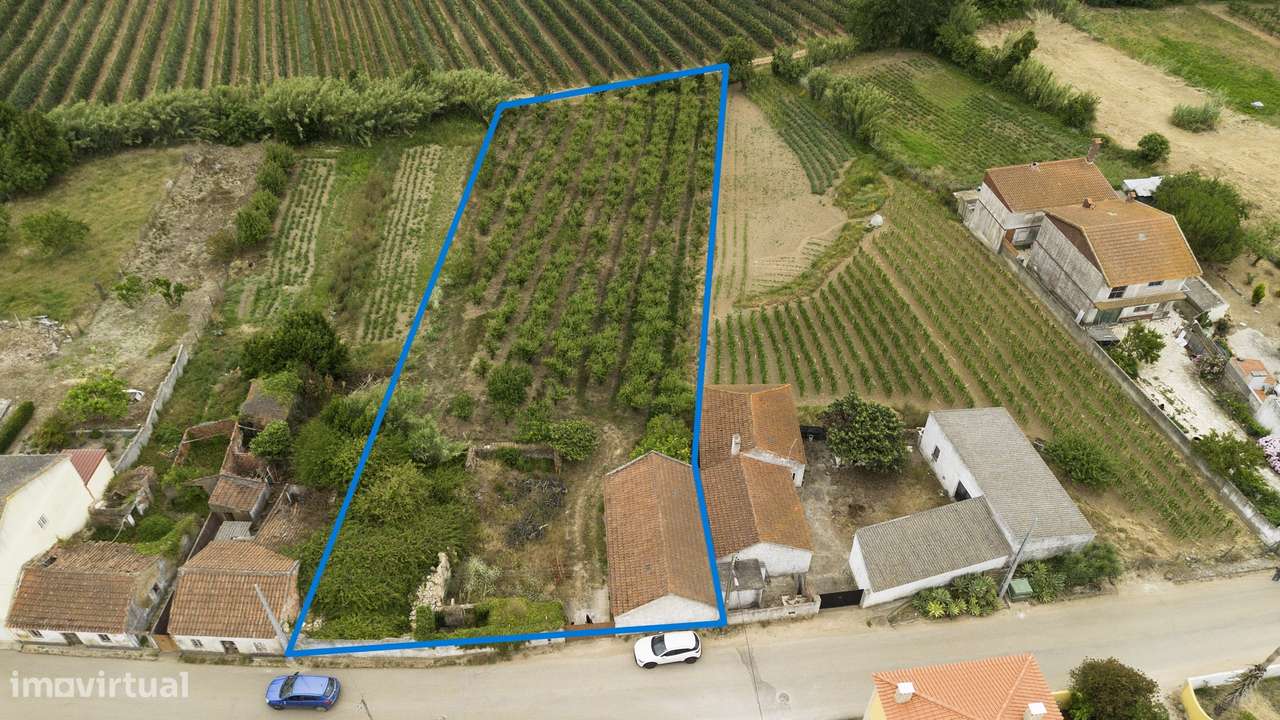 Terreno misto com 2.573 m² | Barrocalvo, Carvalhal-0