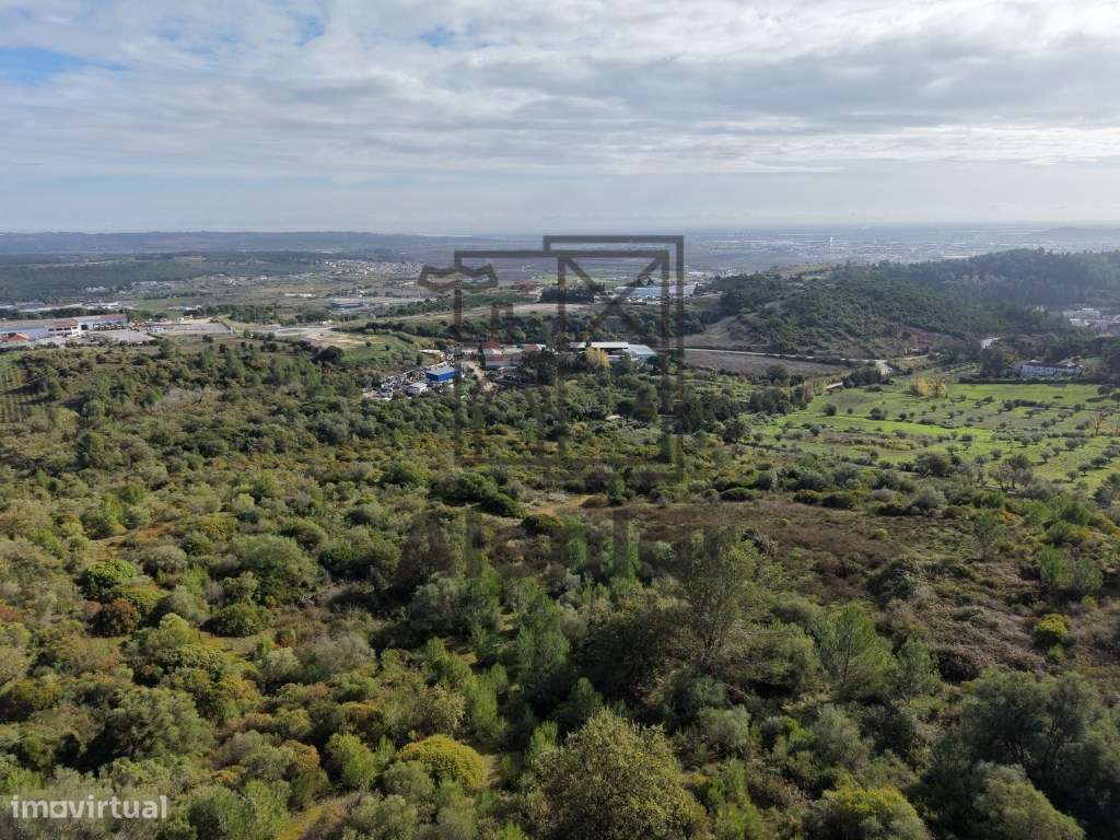 Oportunidade Única de Investimento Agrícola em Alenquer-13