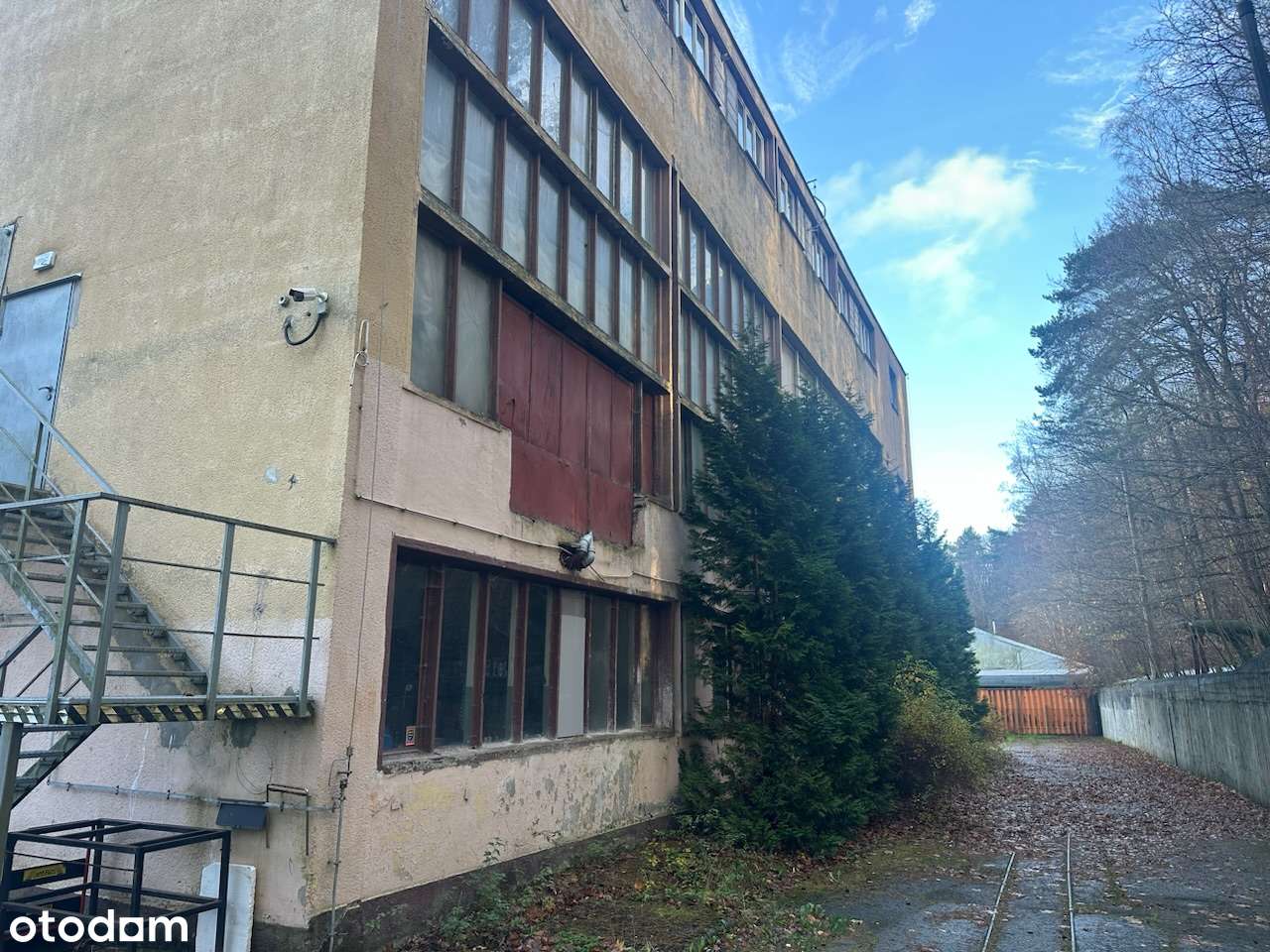 Do wynajęcia: obiekt biurowo-magazynowy Sopot, ul. Cieszyńskiego 15–17 - Pełny obrazek: 3/13