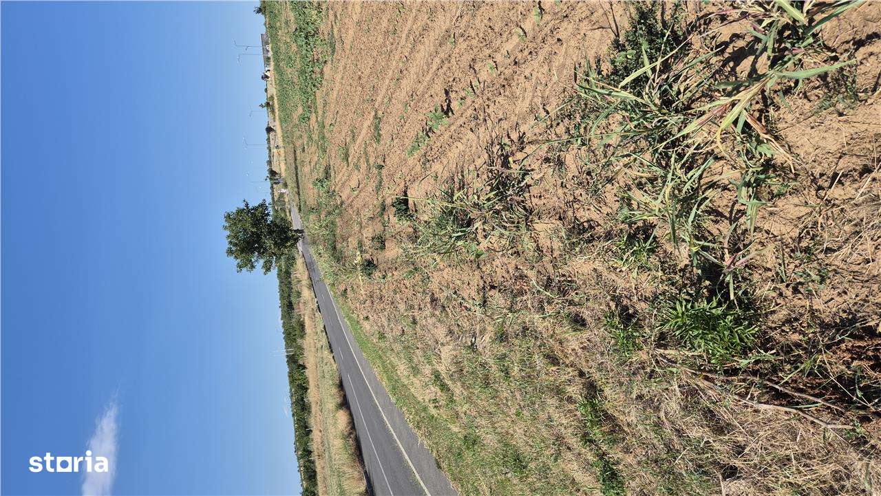 Reco Teren Extravilan Episcopia aproape de Remarkt - Imagine principală: 5/5