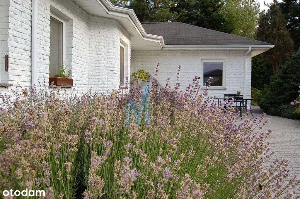 Dom parterowy z dwoma oddzielnymi wejściami!-5