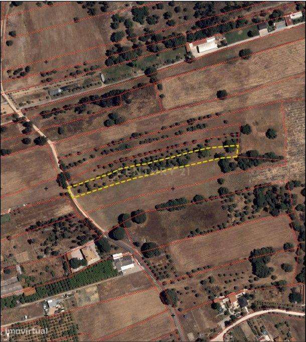 Terreno Rústico com 5.000 m2 - Quinta do Anjo, Palmela - Grande imagem: 2/12