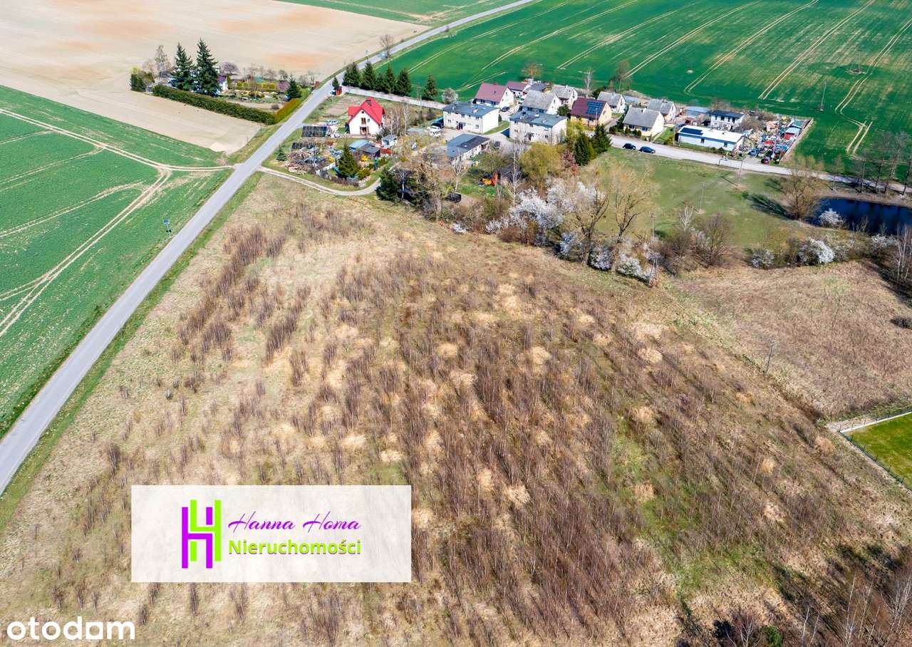 DZIAŁKA budowlana 1667m2, MPZP - Granowo, 2km od Lichnów-3