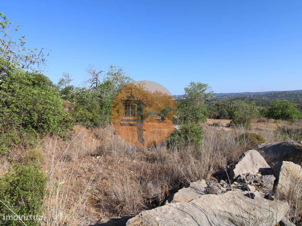 Terreno Rústico - Grande imagem: 4/20