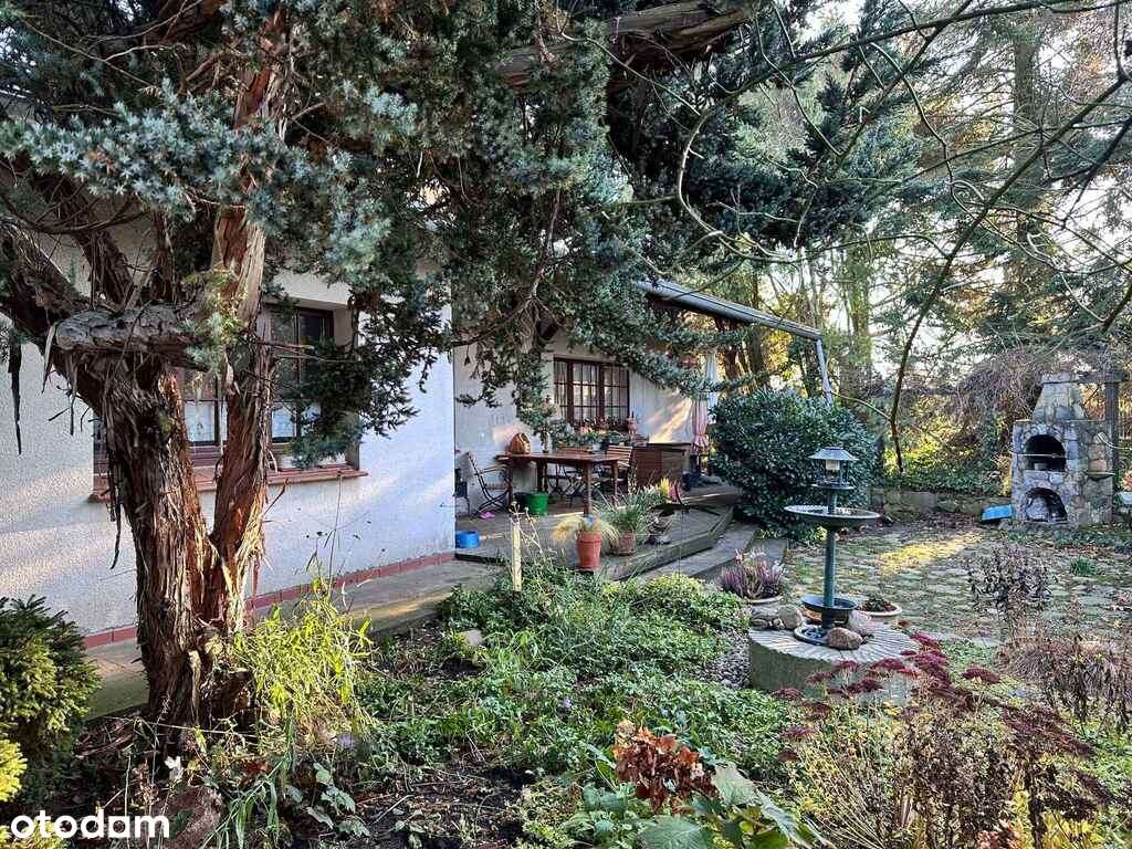 Częściowo zabudowana rolno-produkcyjna-15