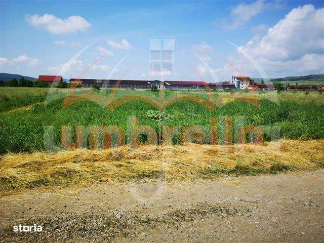 Teren de vanzare in  Gherla, Strada Dejului 4.060 mp - Imagine principală: 3/6
