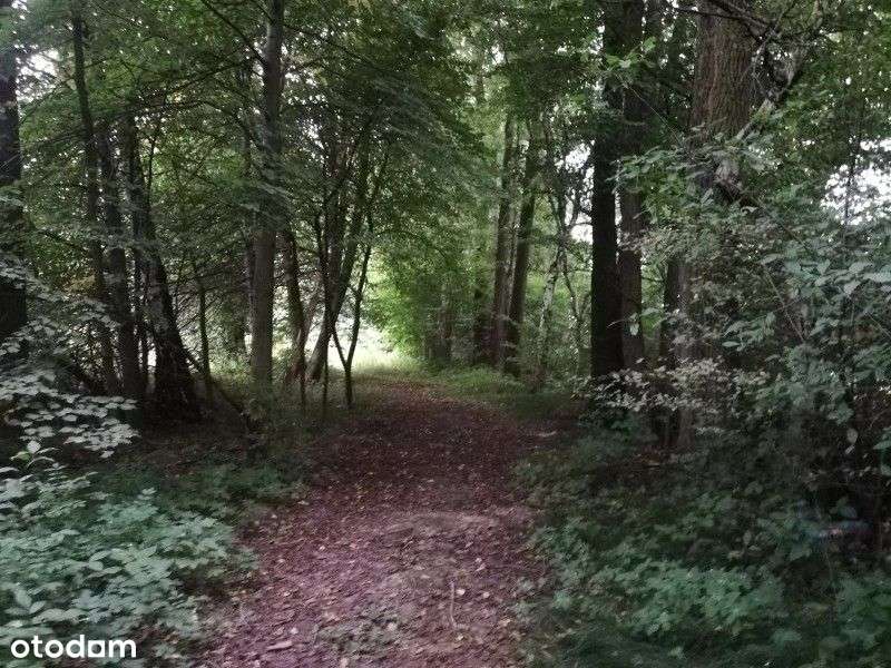 Mnich, działka budowlana, zaciszne miejsce, potok - Pełny obrazek: 5/6