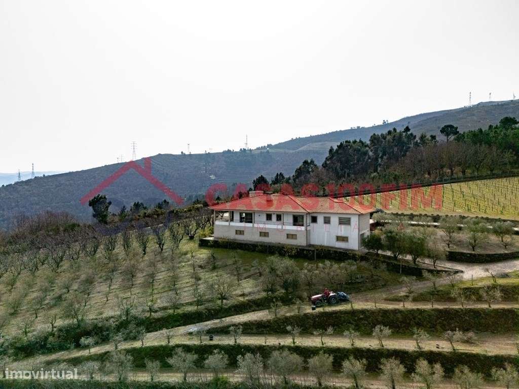 Quinta em Penajóia-24