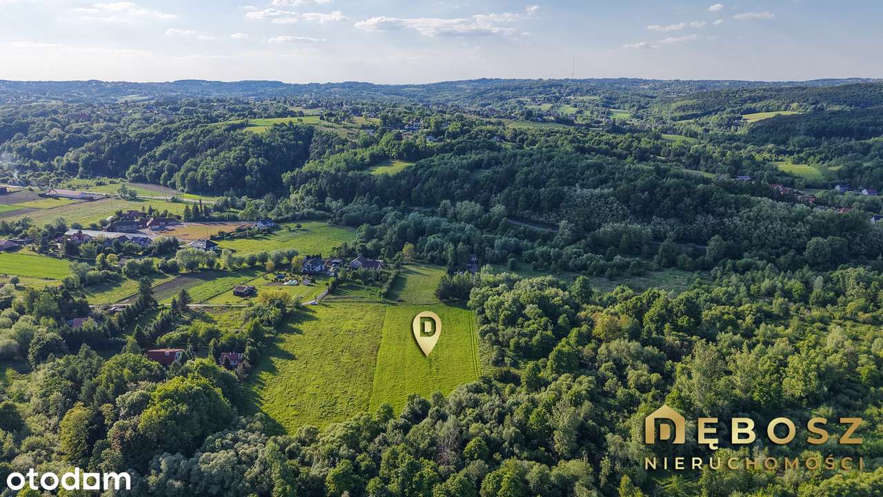 Niezdów / ok. Dobczyce | Piękna działka w zielonym zagajniku - 67 ar ! - Pełny obrazek: 4/13